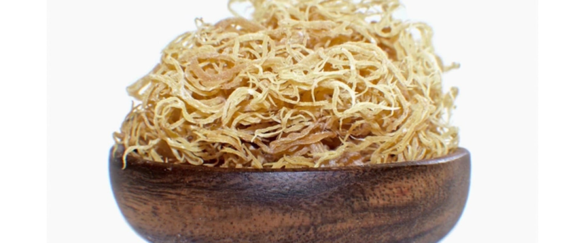Sea Moss Protein Content Explored