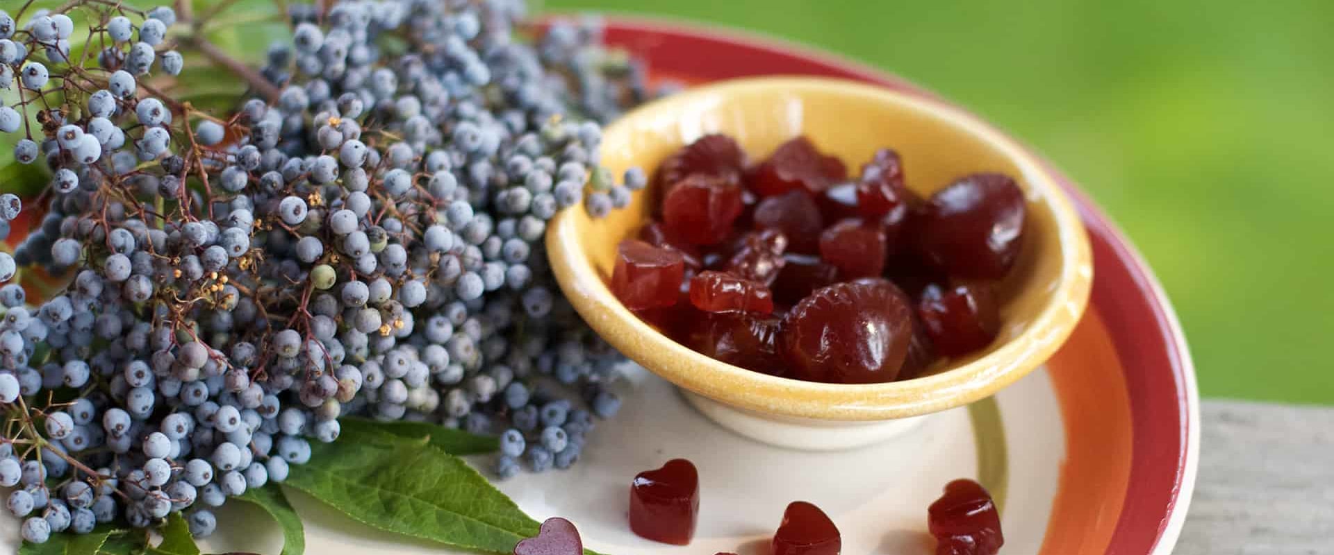 Wildcrafted Gummy Base Ingredients: An Overview