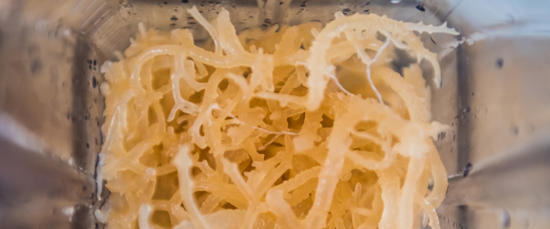 The Benefits of Potassium in Sea Moss