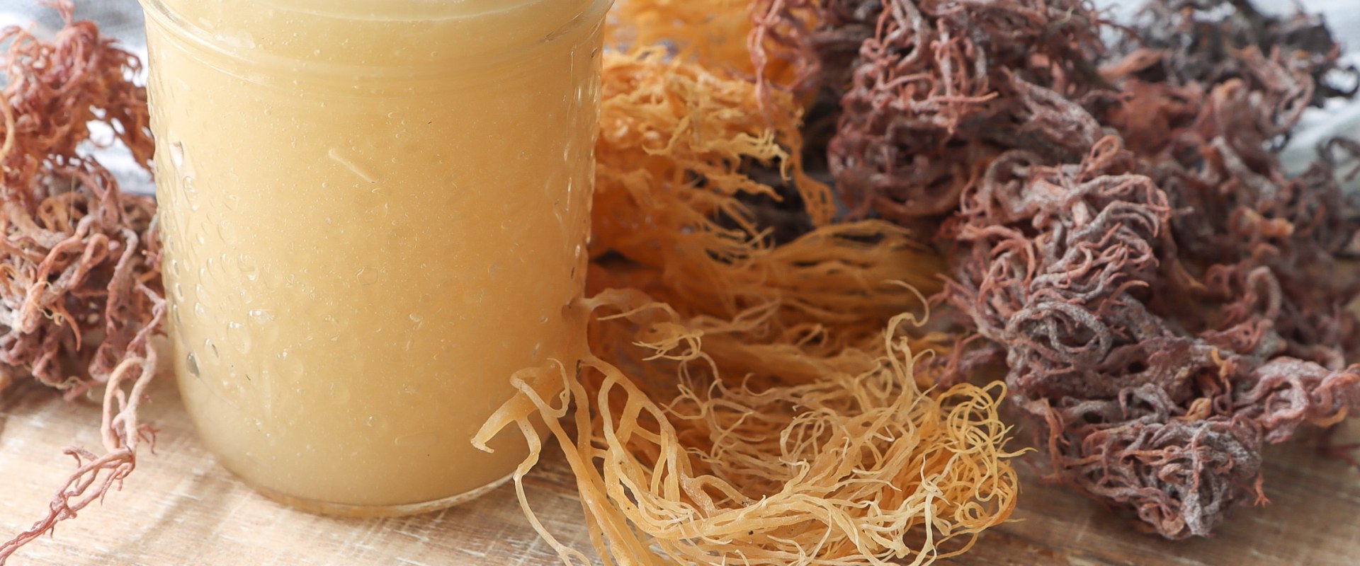 Sea Moss Calories and Fat Content: A Comprehensive Overview