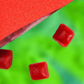 Everything You Need to Know About Antioxidants and Phytonutrients in Vegan Gummies